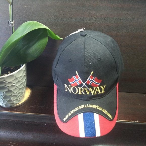 Norway baseball cap NWT 🎈HOST PICK🎈 - Picture 1 of 7